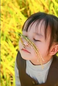 提前㊗️大家元旦快乐-大饼博士的小星星们应援站