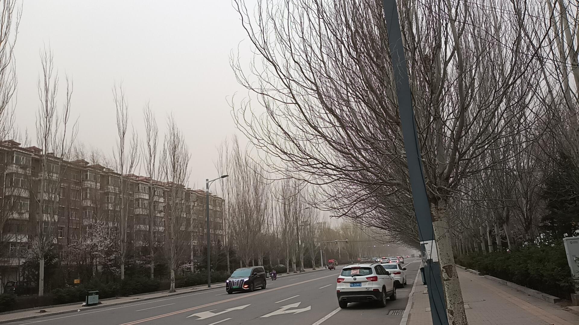 #风沙-大饼博士的小星星们应援站