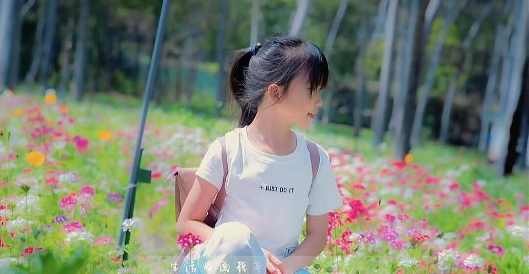 端午安康-大饼博士的小星星们应援站