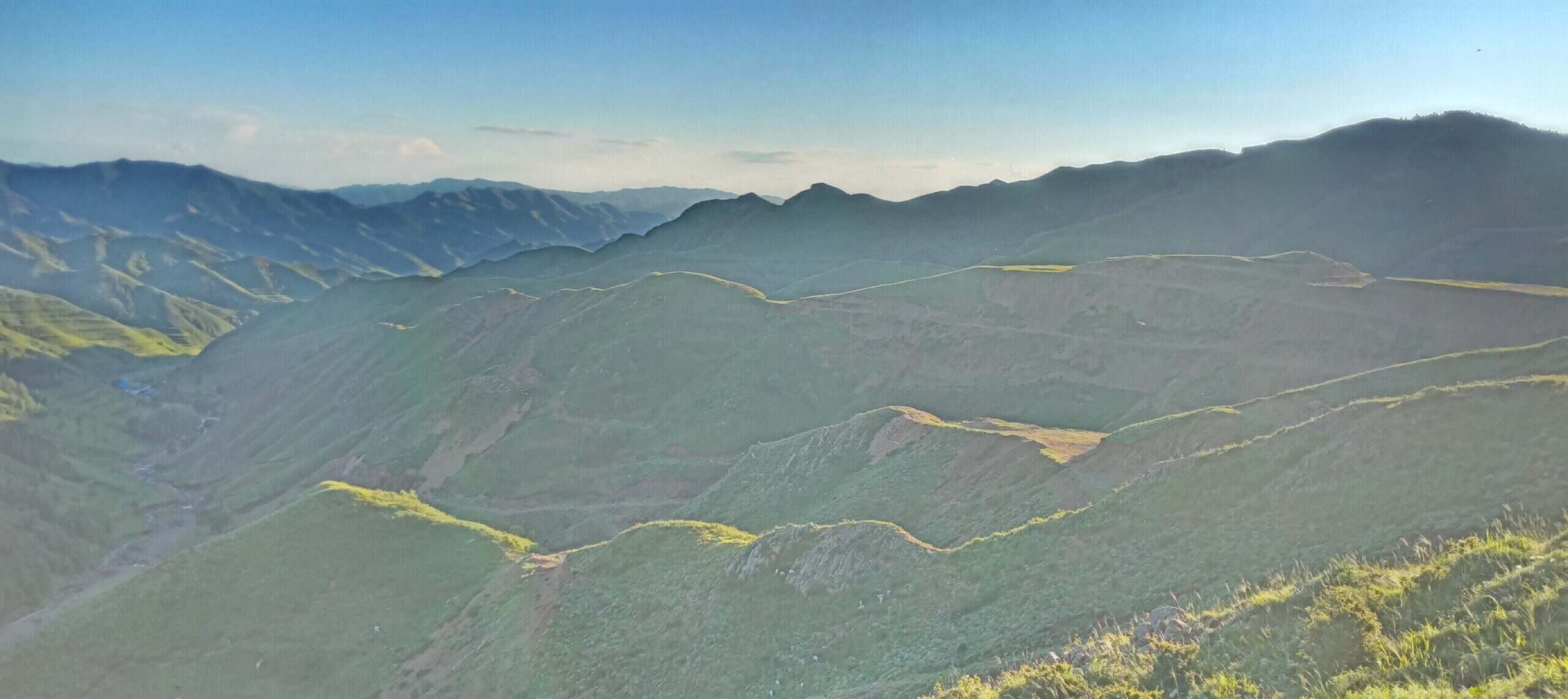二十四节气大暑-大饼博士的小星星们应援站