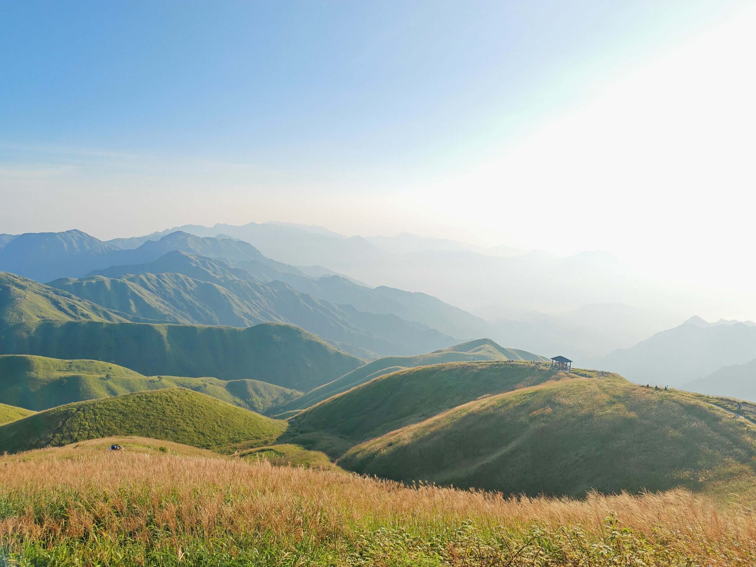 辰安泰来的头像-大饼博士的小星星们应援站