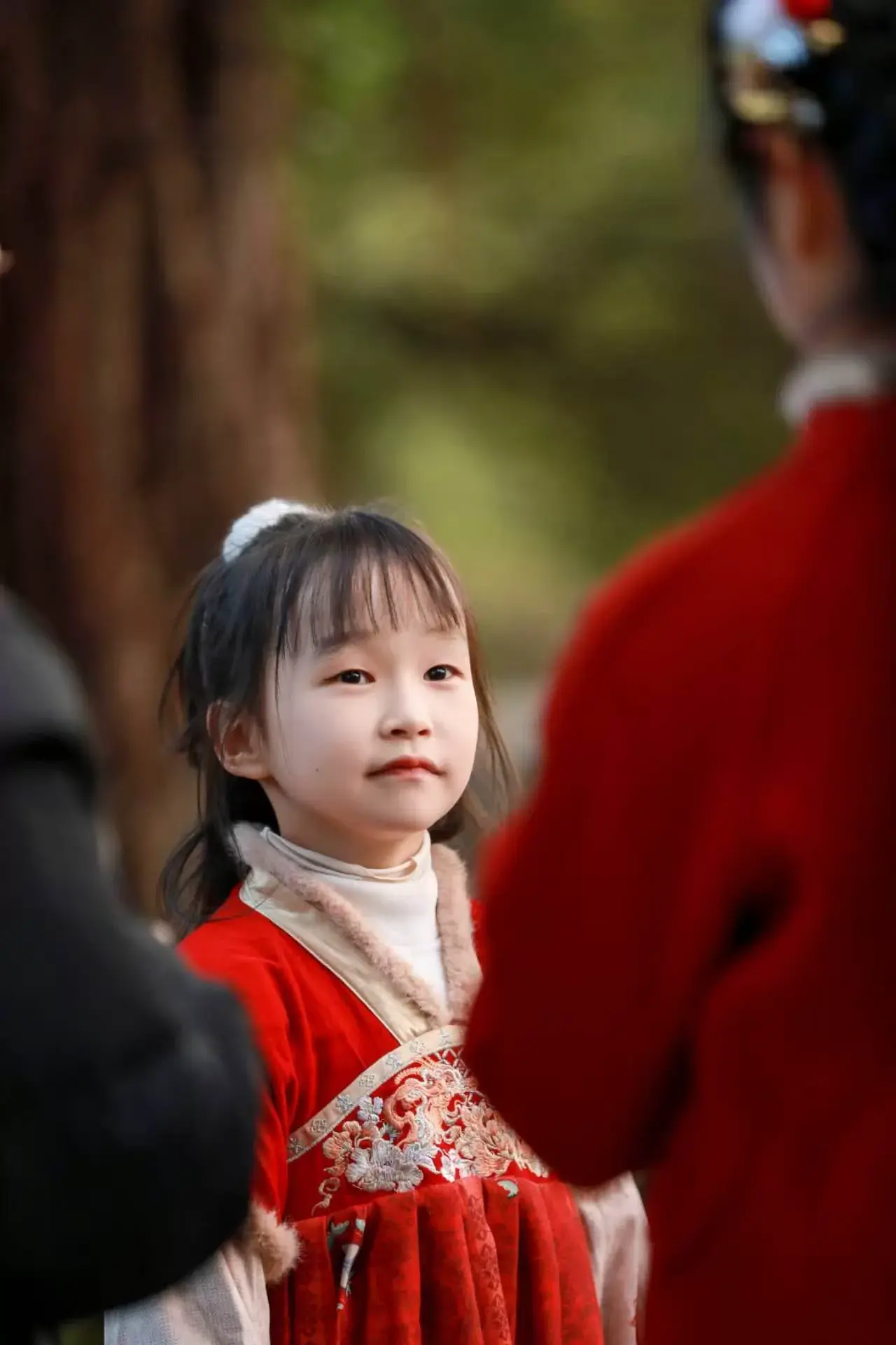 开启新篇章-大饼博士的小星星们应援站