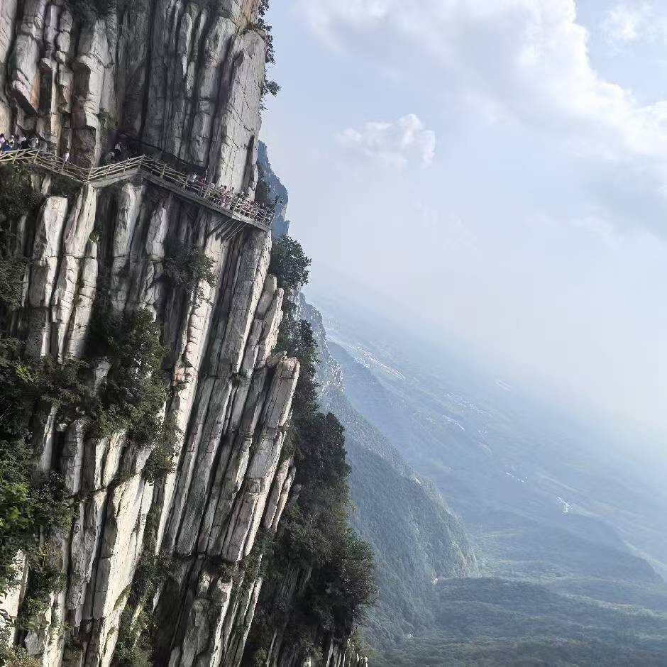 栋煜的头像-大饼博士的小星星们应援站